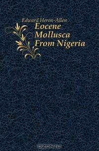 Eocene Mollusca From Nigeria