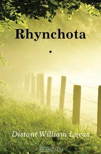 Rhynchota
