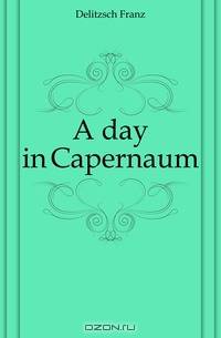 A day in Capernaum