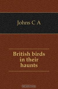 British birds in their haunts