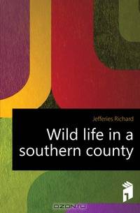 Wild life in a southern county