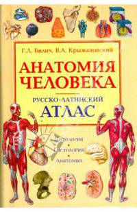 Анатомия человека. Русско-латинский атлас. Цитология. Гистология. Анатомия. 2-е изд., испр. и доп.