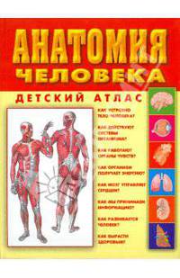 Анатомия человека