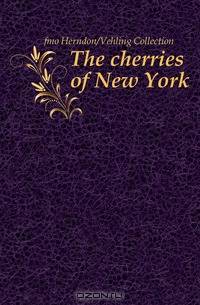 The cherries of New York