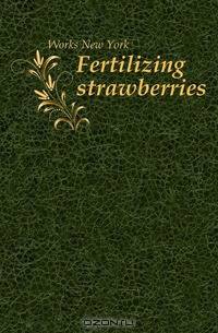 Fertilizing strawberries