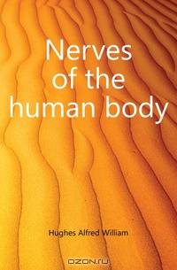 Nerves of the human body