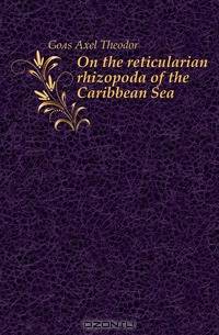 On the reticularian rhizopoda of the Caribbean Sea