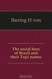 The social bees of Brazil and their Tupi names