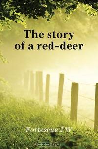 The story of a red-deer