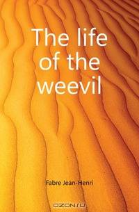 The life of the weevil