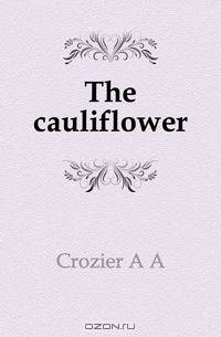 The cauliflower