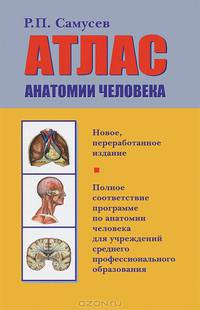 Атлас анатомии человека. Учебное пособие - 7 изд.
