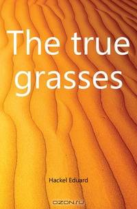 The true grasses
