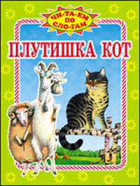 Госпожа-метелица (количество томов: 5)