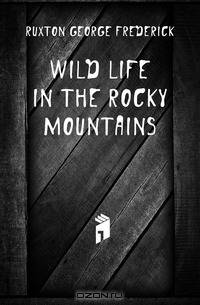 Wild life in the Rocky Mountains