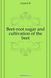 Beet-root sugar and cultivation of the beet