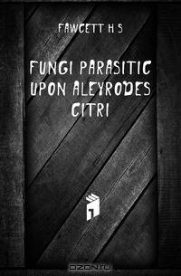 Fungi parasitic upon Aleyrodes citri