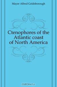 Ctenophores of the Atlantic coast of North America