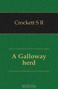 A Galloway herd