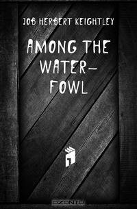 Among the water-fowl