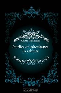 Studies of inheritance in rabbits