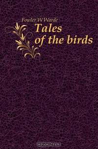 Tales of the birds
