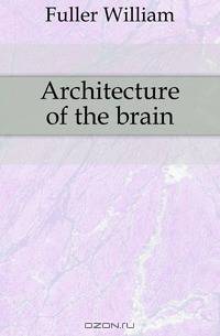 Architecture of the brain