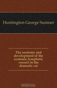 The anatomy and development of the systemic lymphatic vessels in the domestic cat