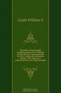 Heredity of hair-length in guinea-pigs and its bearing on the theory of pure gametes by W.E. Castle and Alexander Forbes. The origin of a polydactylous race of guinea-pigs