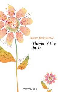 Flower o