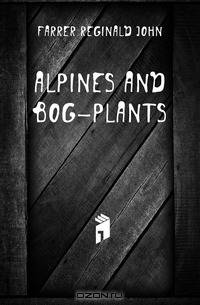 Alpines and bog-plants