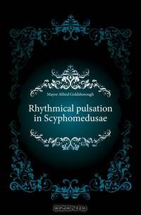 Rhythmical pulsation in Scyphomedusae
