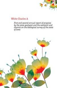First and second annual report of progress by the state geologist and the assistant and chemist on the Geological survey of the state of Iowa