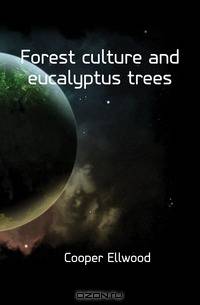 Forest culture and eucalyptus trees