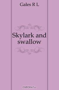 Skylark and swallow
