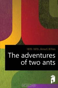 The adventures of two ants