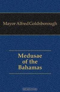 Medusae of the Bahamas