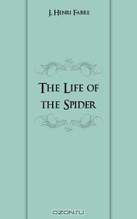 The Life of the Spider