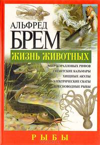 Жизнь животных. Рыбы