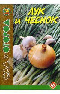 Лук и чеснок
