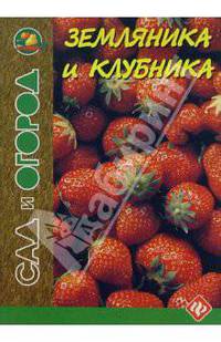 Земляника и клубника