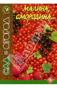 Малина, смородина... - (Сад и огород)