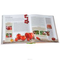 Allotment Handbook: The Beginners