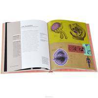 30-Second Anatomy: The 50 Most Important Structures and Systems in the Human Body, Each Explained in Half a Minute