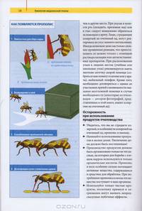 Советы опытного пчеловода