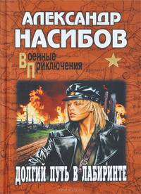 Долгий путь в лабиринте. Роман