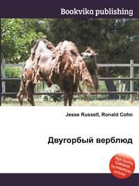 Двугорбый верблюд