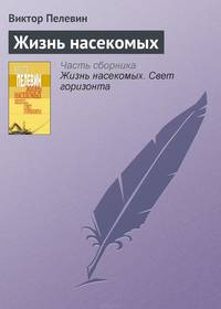 Жизнь насекомых
