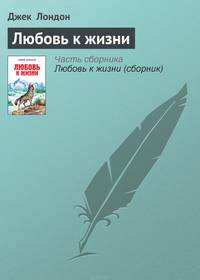 Любовь к жизни