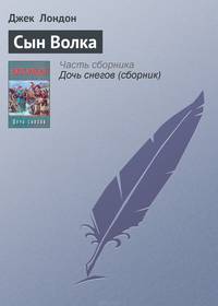 Сын Волка